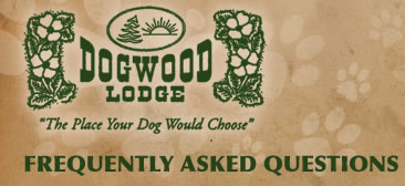 Frequently Asked Questions